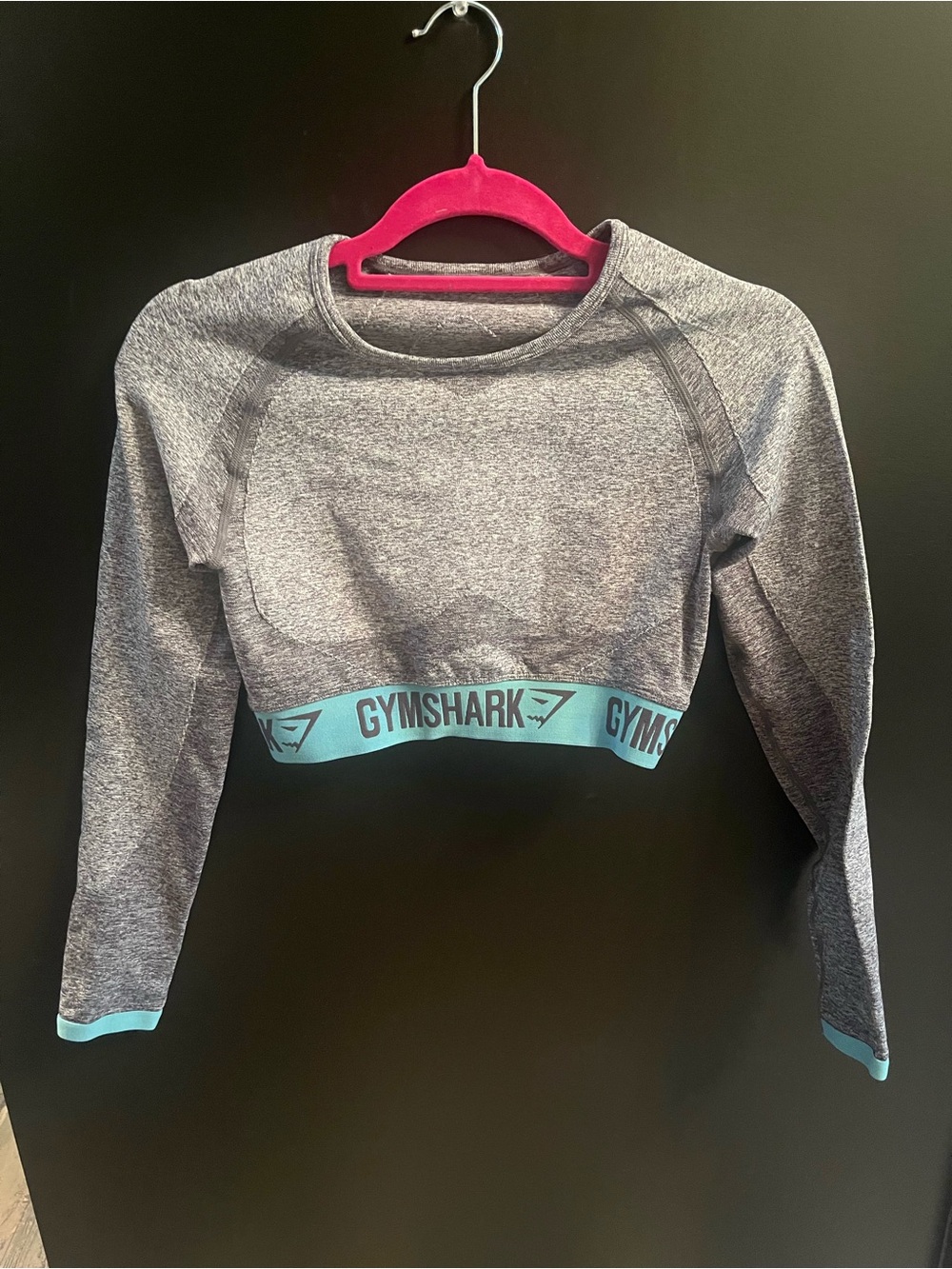 Gymshark Heather Grey Cropped Seamless Long Sleeve with Teal Trim